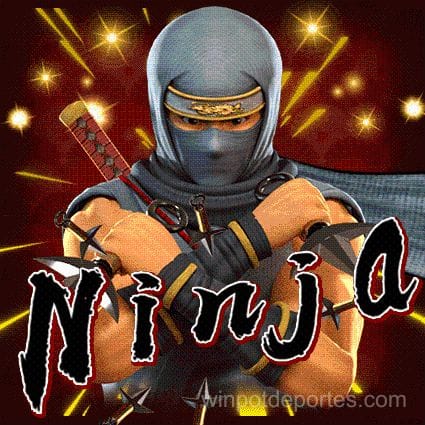 Ninja